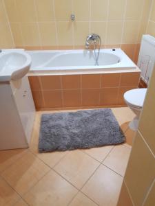 Kúpeľňa v ubytovaní Ubytování v Žimrovicích
