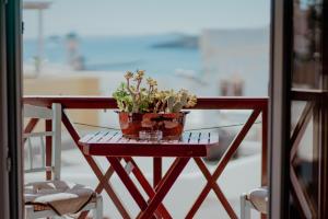 a potted plant sitting on a table on a balcony at Diana in Ermoupoli