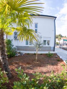 En have udenfor Holiday House JASNICA + 34 billeder