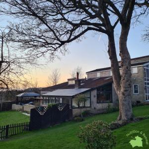 マトロックにあるThe Sycamores Nutrition & Retreatの庭の木のある家