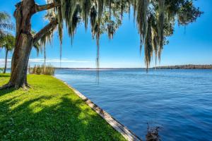 a tree on the shore of a body of water at River Bend B212 in Welaka