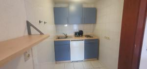 a small kitchen with a sink and blue cabinets at Fewo Am Wiesenweg EG1 in Bad Elster