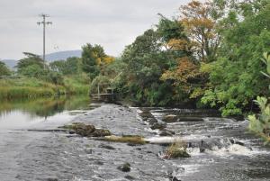 um rio com pedras e árvores ao lado em West View Accomodation em Louisburgh