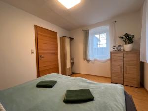 Posteľ alebo postele v izbe v ubytovaní Apartment Ausseerland - willkommen bei Freunden
