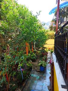 a garden with flowers and plants and a fence at Sofia Margarita's Rooms in Agios Gordios