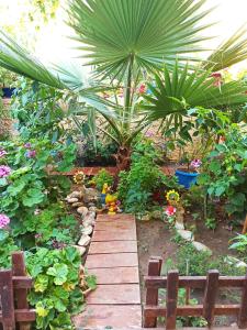 a garden with a wooden walkway with plants and flowers at Sofia Margarita's Rooms in Agios Gordios