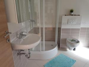 Fotografie z fotogalerie ubytování Apartments Hausmann v Novalji