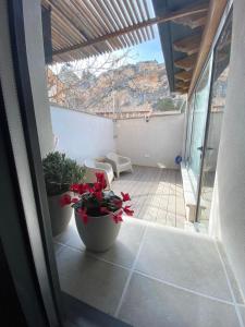uma varanda com dois vasos de plantas e uma mesa em BÁNOVA APARTAMENTO TURÍSTICO em Alhama de Aragón