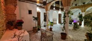 une chambre avec des plantes en pot dans un bâtiment dans l'établissement Murallas de Jayrán Hotel Boutique, à Almería