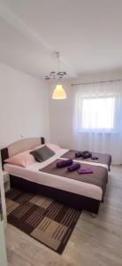 sypialnia z 2 łóżkami w pokoju w obiekcie Apartment Susy w Petrčane
