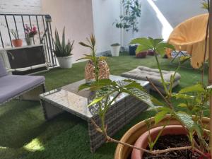 a living room with plants and a coffee table at Guesthouse Jazmínes Mozárabes # WIFI in Baena