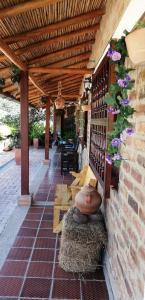 eine Terrasse mit einer Vase auf einem Gebäude in der Unterkunft CABAÑA RURAL SANTMARTIN in Sutamarchán