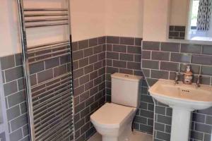 a bathroom with a toilet and a sink at Hayes Suite in Oswestry