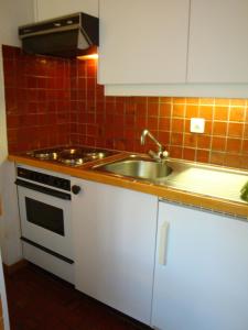 uma cozinha com um lavatório e um fogão em Apartment Grand Vallon em Grimentz
