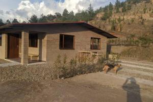 a dog standing in front of a small house at Los Lagos in Sutamarchán