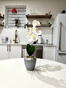 a white kitchen with a vase with flowers on a table at Luxury and cozy 1 Bed Condo in the heart of Providence in Providence