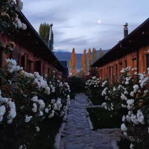 un jardín de flores blancas entre dos edificios en Hotel Último Paraíso, en Cochrane