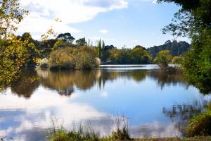 戴尔斯福特Vue Lake Daylesford Studio的享有背景树木的湖泊美景 更多2张照片