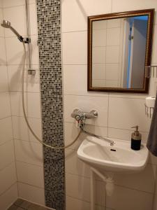 uma casa de banho com um chuveiro e um lavatório. em Gasthaus Henri em Raisio