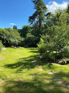 un champ d'herbe avec un arbre à distance dans l'établissement Woodland Cottage Charleton Estate, à Colinsburgh
