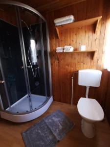a bathroom with a shower with a toilet and a glass shower at Ferienhaus Zittertal Neustadt Harz Haus I in Harztor