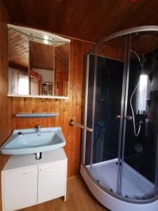 a bathroom with a sink and a shower at Ferienhaus Zittertal Neustadt Harz Haus I in Harztor