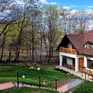 a home with a view of a pond and trees at Provence Suceava in Suceava