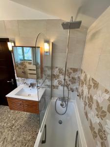 a bathroom with a shower and a sink and a tub at Pere Lachaise Apartment in Paris