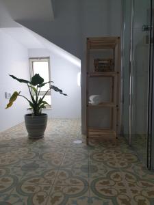 uma casa de banho com um vaso de plantas num piso de azulejo em אביב יחידות אירוח em Gonen
