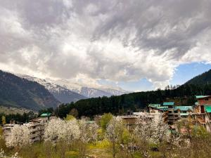 Gallery image of YOLO Backpackers MAX - Manali in Manāli