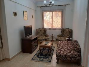 a living room with a couch and a tv at Small Friendly Apart In a Villa - New Cairo 5th Settlement in Cairo