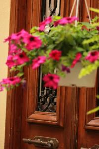Fotografie z fotogalerie ubytování Filyra Pension v destinaci Nafplio