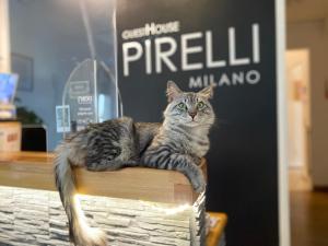 Guest House Pirelli Milano, Milánó – 2023 legfrissebb árai