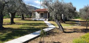 una pequeña casa con una pasarela junto a los árboles en Annashousethassos en Skala Rachoniou