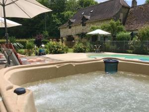 a plunge pool with a water fountain in a backyard at Private Gite with heated pool with retractable cover and hot tub in Cendrieux