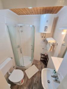 a bathroom with a shower and a toilet and a sink at Studio Heart of the Town in Dubrovnik