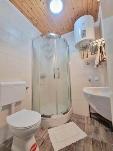 a bathroom with a shower and a toilet and a sink at Studio Heart of the Town in Dubrovnik