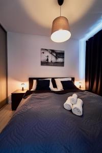 Posteľ alebo postele v izbe v ubytovaní LAGUNA Apartament 20 Willa Leśna