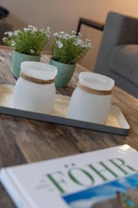 two plants in vases on a tray on a table at Lütte Hüs in Oevenum +25 photos