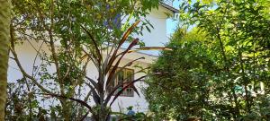 ein weißes Gebäude hinter einigen Bäumen und einem Baum in der Unterkunft Le Farmhouse Munnar in Anachal