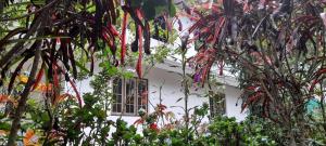 Zahrada ubytování Le Farmhouse Munnar