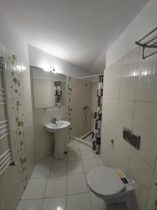 La salle de bains est pourvue d'un lavabo et de toilettes. dans l'établissement Vila IZVORUL MINUNILOR, à Stâna de Vale