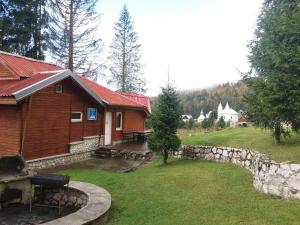 a house with a stone wall next to a yard at Vila IZVORUL MINUNILOR in Stana de Vale