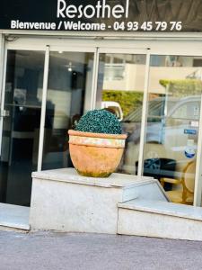 une plante dans un pot assis devant un magasin dans l'établissement Resothel Group, au Cannet