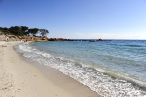 a sandy beach with the ocean in the background at Appartement dans maison chaleureuse in Olmeto