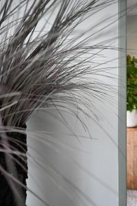 Fotografie z fotogalerie ubytování Hotel Doña Catalina v destinaci Marbella