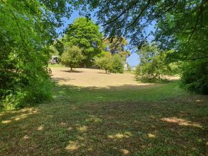 a park with trees and a field with grass at Cosy Glamping Yurt with log burner on our smallholding, ideal family getaway or romantic retreat in Narberth