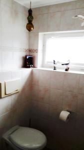 a bathroom with a toilet and a window at Ferienwohnung Krentz in Neu Sallenthin