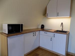 Kuchyňa alebo kuchynka v ubytovaní Apartament nr 4 U Miśka z dwoma sypialniami