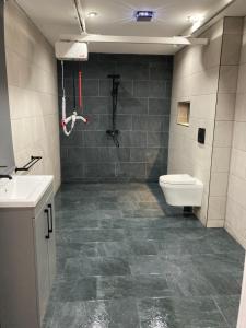 a bathroom with a toilet and a sink and a shower at Fully Accessible - Disability Adapted Holiday Cottage - Skegness in Ingoldmells